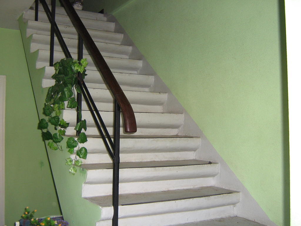 Jannseni Accommodation Parnu Ngoại thất bức ảnh